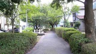 2011081315500000.jpg