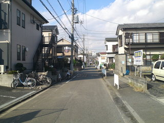 SN3T0135.jpg